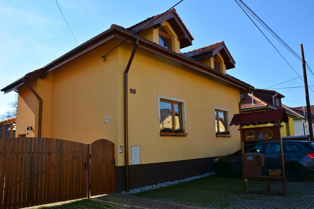 Guest House Penzion Milka Smizany Exterior photo